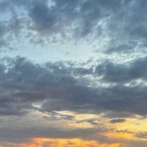 Meet your Posher, Corina